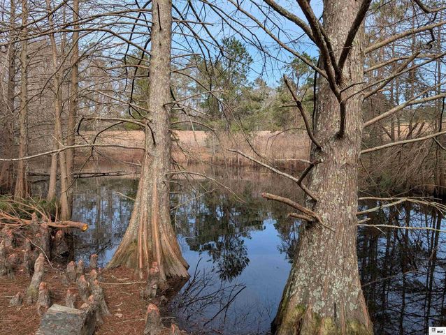 163 L E PHILLIPS ROAD, Eros, LA 71238