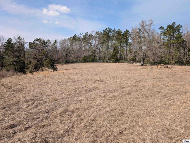 163 L E PHILLIPS ROAD, Eros, LA 71238