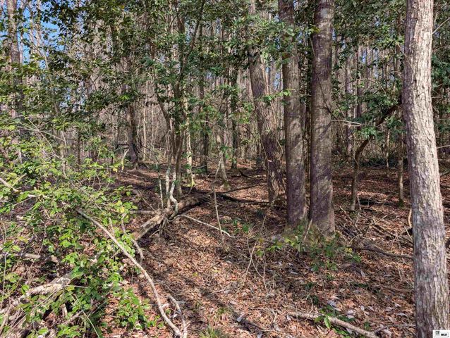 163 L E PHILLIPS ROAD, Eros, LA 71238