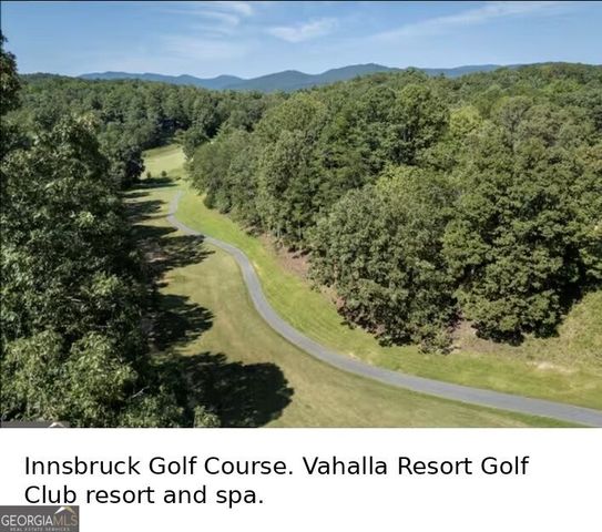 95 Fischer Strasse, Helen, GA 30545