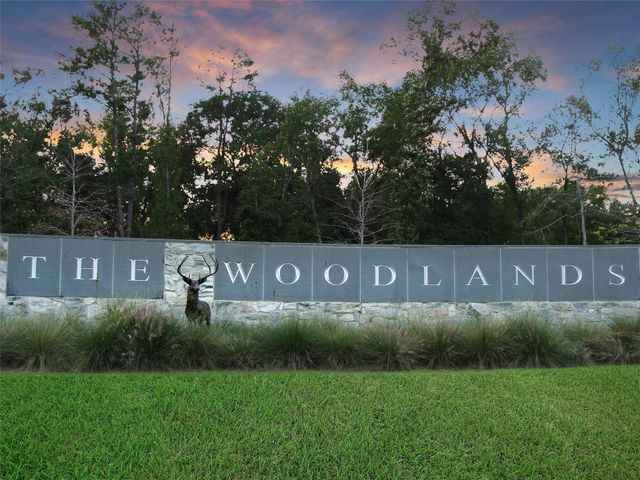 79 N Gary Glen Circle, The Woodlands, TX 77382