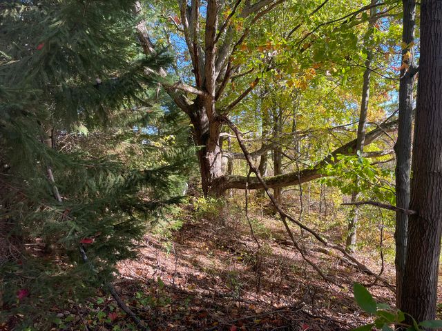 1945 S 200th Avenue, Newfield Twp, MI 49421