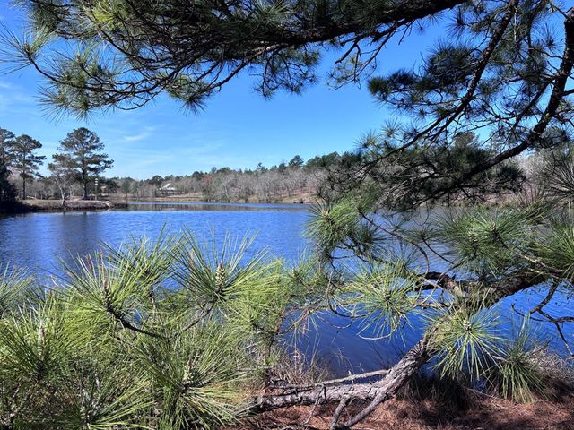 167 Lambert Lake Estates, Box Springs, GA 31801