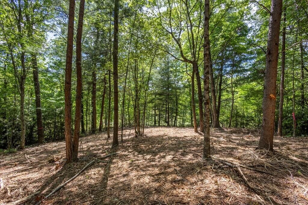 42 Donley Road, Murphy, NC 28906