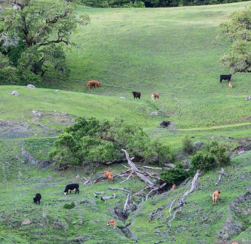 2700 Geysers Rd, Geyserville, CA 95441