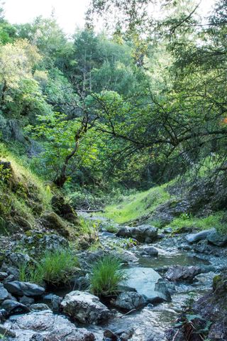 2700 Geysers Rd, Geyserville, CA 95441