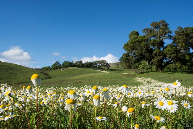 2700 Geysers Rd, Geyserville, CA 95441