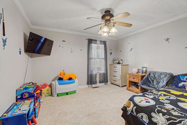 48 Fox Run Ln, Carthage, TN 37030