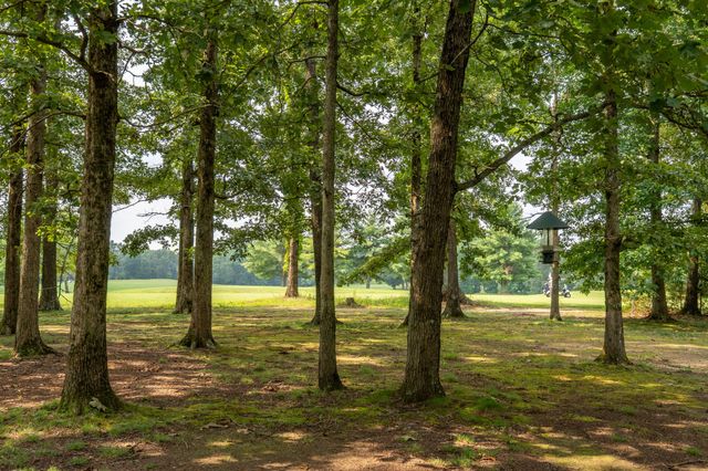 187 Double Eagle Dr, Summertown, TN 38483