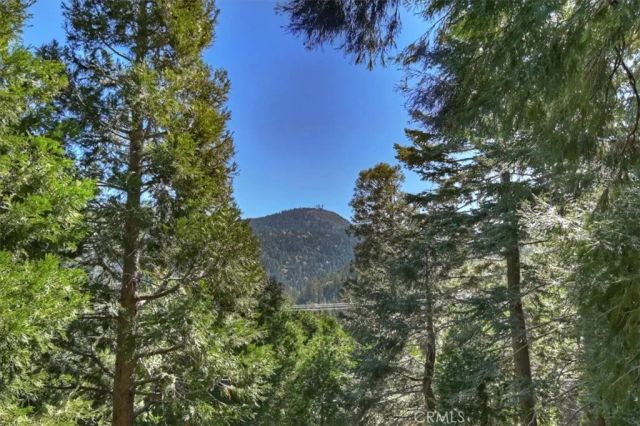 24607 Altdorf Drive, Crestline, CA 92325