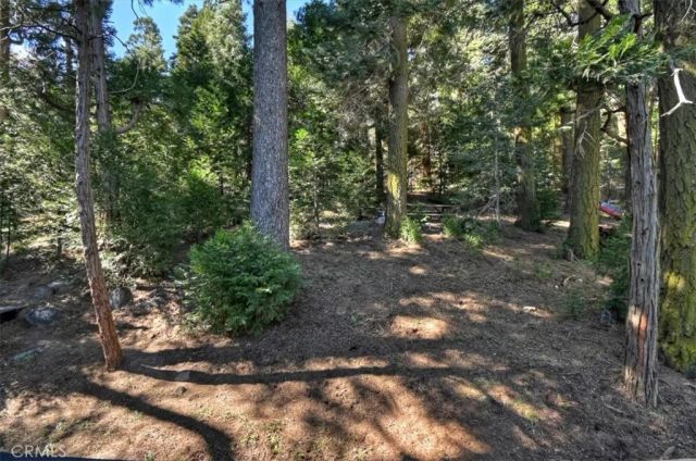 24607 Altdorf Drive, Crestline, CA 92325