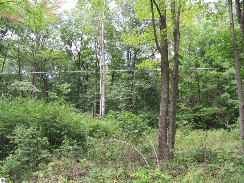 Image 5 of property listing at 00 Duby Road, Tawas City, MI 48763