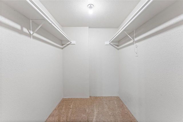 10871 Braes Bend Drive 10871, Houston, TX 77071