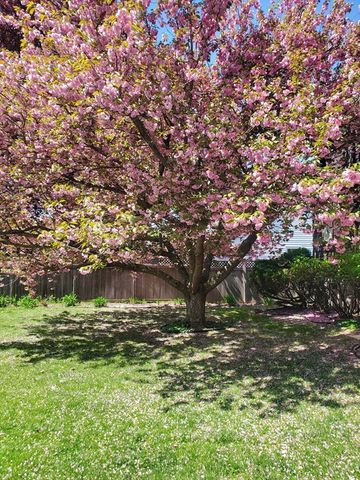 9 Mayfield Rd, Belmont, MA 02478
