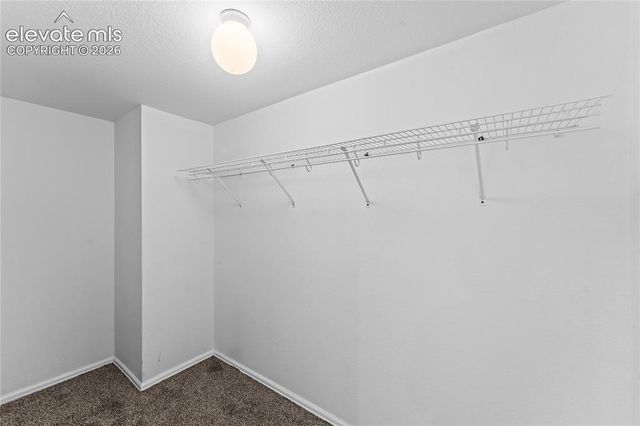 1526 Chutney Court, Colorado Springs, CO 80907