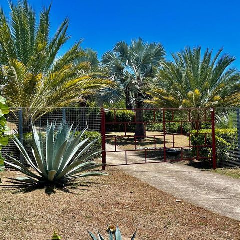 5 PUERTO REAL, Vieques, PR 00765