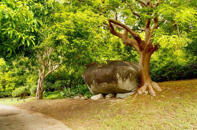 5 PUERTO REAL, Vieques, PR 00765