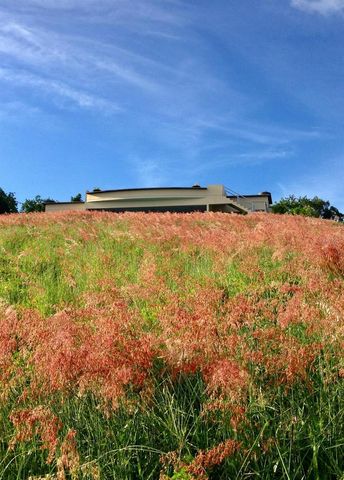 5 PUERTO REAL, Vieques, PR 00765