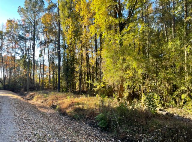 00 Dig It Rd, Summerville, SC 29483