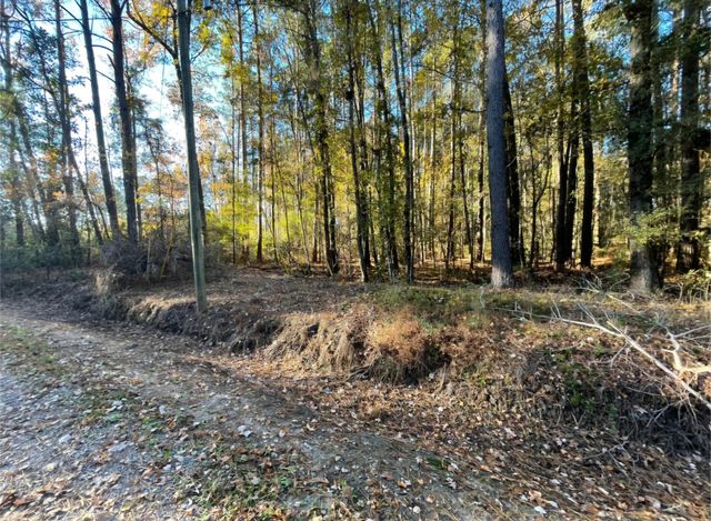 00 Dig It Rd, Summerville, SC 29483
