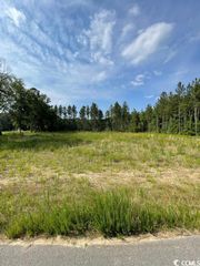 Sioux Swamp Dr., Conway, SC 29527