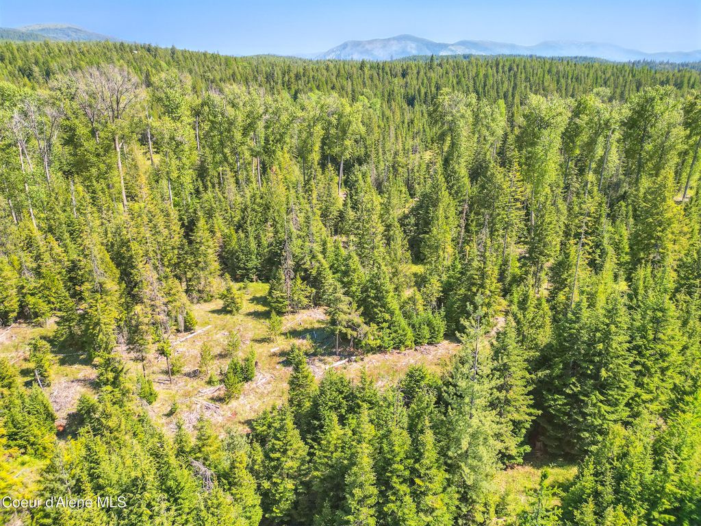 670 Sunset Rd, Athol, ID 83801 photo 46