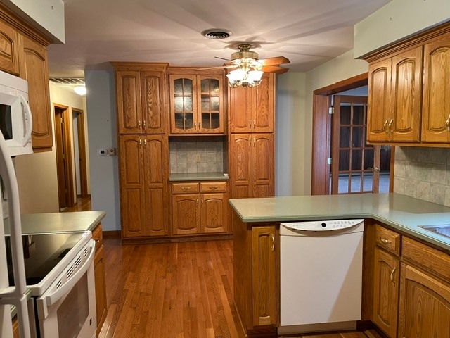 207 Illini Drive, Minooka, IL 60447