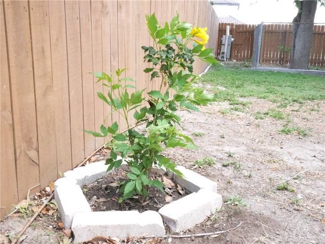 2011 Oliva Street, Edinburg, TX 78539