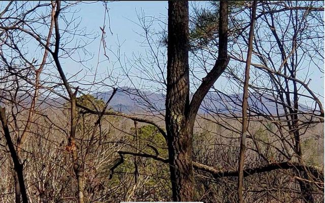 4AC Scenic Way, Ellijay, GA 30540