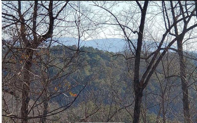 4AC Scenic Way, Ellijay, GA 30540