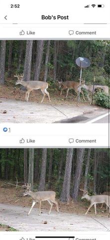 4AC Scenic Way, Ellijay, GA 30540
