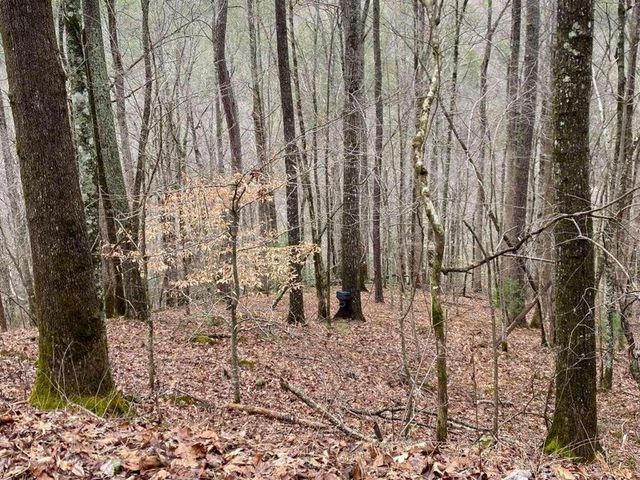 4AC Scenic Way, Ellijay, GA 30540