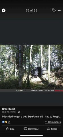 4AC Scenic Way, Ellijay, GA 30540