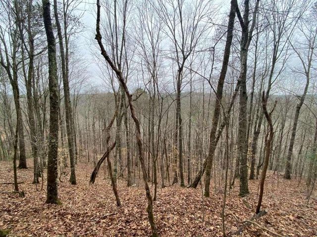 4AC Scenic Way, Ellijay, GA 30540