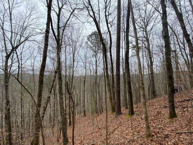 4AC Scenic Way, Ellijay, GA 30540