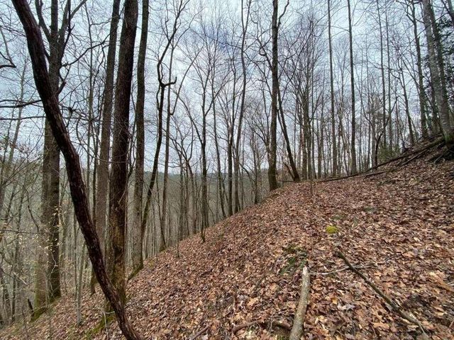 4AC Scenic Way, Ellijay, GA 30540