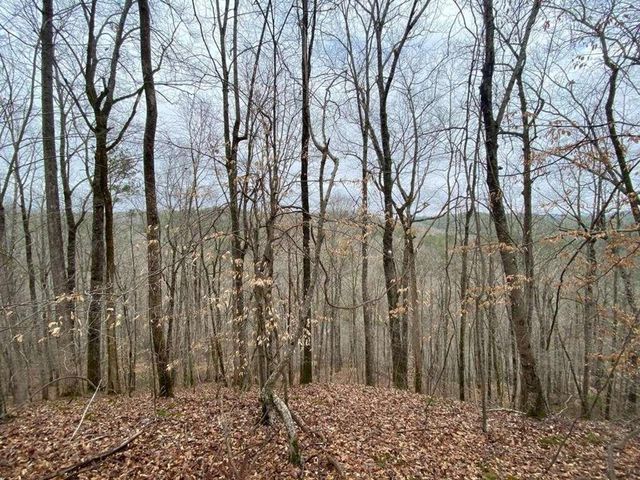 4AC Scenic Way, Ellijay, GA 30540
