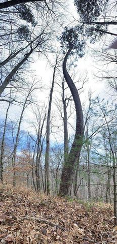 4AC Scenic Way, Ellijay, GA 30540