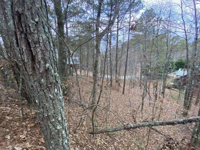 4AC Scenic Way, Ellijay, GA 30540