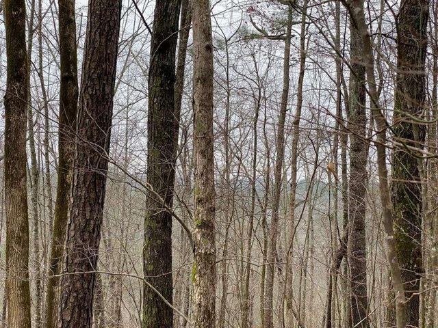 4AC Scenic Way, Ellijay, GA 30540