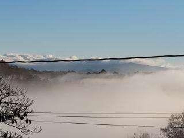 4AC Scenic Way, Ellijay, GA 30540