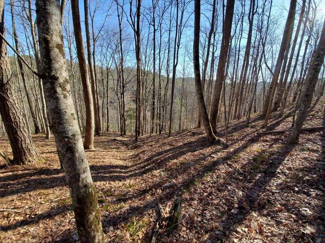 4AC Scenic Way, Ellijay, GA 30540