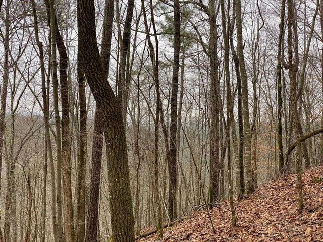 4AC Scenic Way, Ellijay, GA 30540