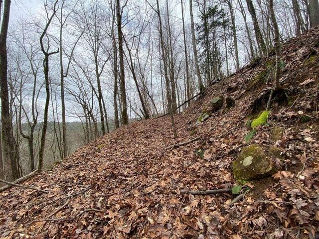 4AC Scenic Way, Ellijay, GA 30540