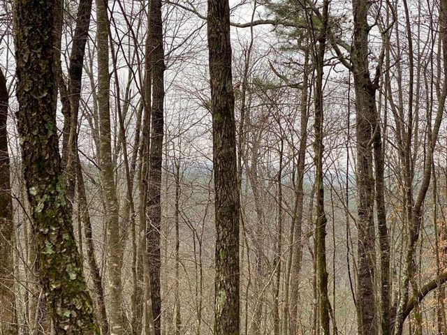 4AC Scenic Way, Ellijay, GA 30540
