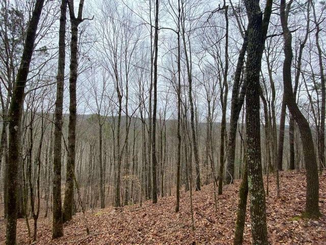 4AC Scenic Way, Ellijay, GA 30540