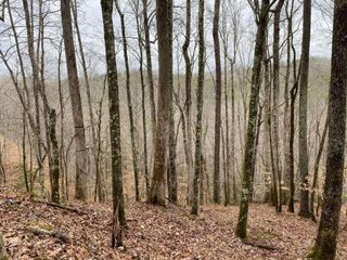 4AC Scenic Way, Ellijay, GA 30540