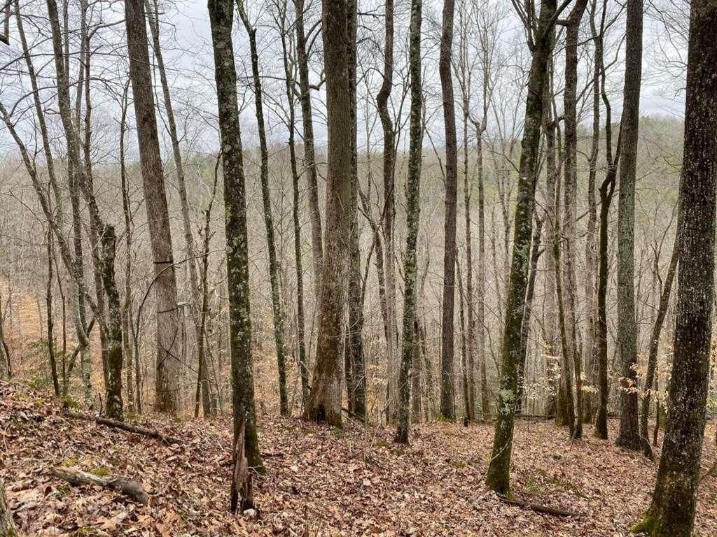 4AC Scenic Way, Ellijay, GA 30540