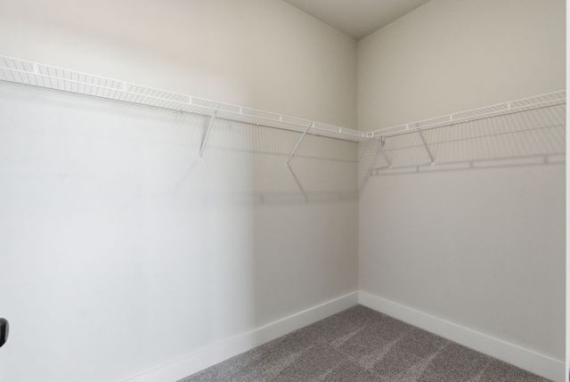 1803 Flatwaters St, Spring Hill, TN 37174