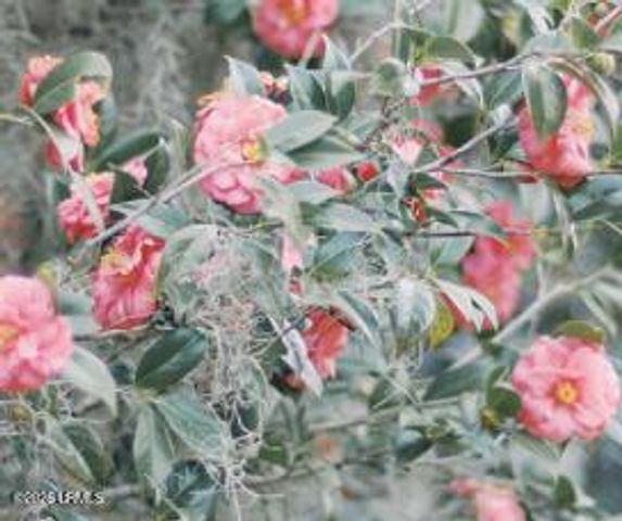 164 Paige Point Bluff, Seabrook, SC 29940